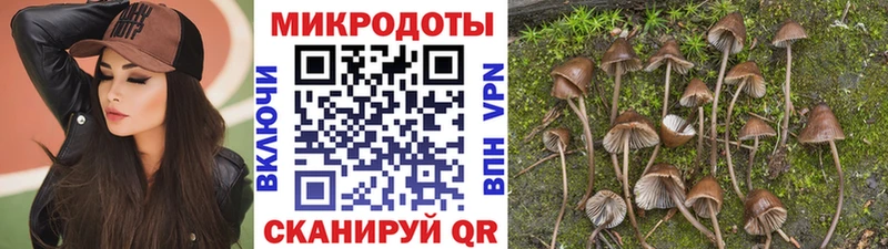 Галлюциногенные грибы мицелий Губкин