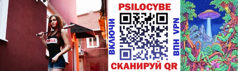 Купить где  Губкин  Псилоцибиновые грибы мицелий 